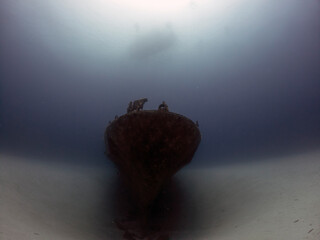 The wreck of the P31 Patrol Boat in Comino, Malta