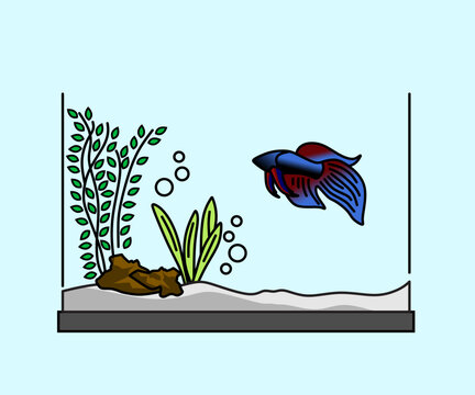 blue betta fish in aquarium clip art preview