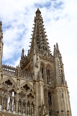 Fototapeta premium Catedral de Burgos 
