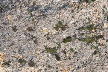 Texture of old gray mossy stone