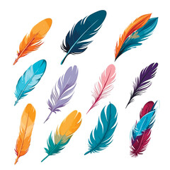 Set of vibrant multicolored feathers arranged on a clean white background. Vector Illustration