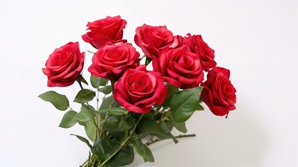 Fototapeta premium A rose in full bloom,AI generated. 