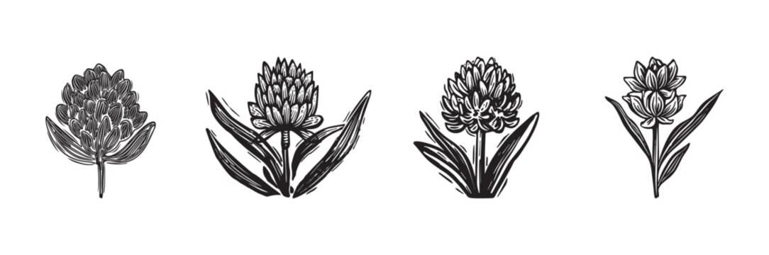 Linotype floral icon collection in whimsical vector art. Decorative foliate design for rustic botany set. 