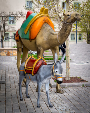 Sivas, Turkey - May 7 2023: The camel and the donkey, which were the elements of the caravan in the ancient period