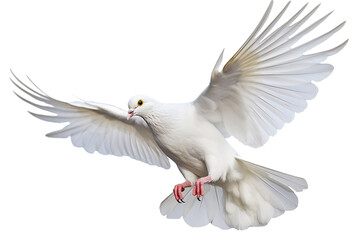 Ethereal Elegance: A Majestic White Pigeon Soaring with the Ukrainian Flag