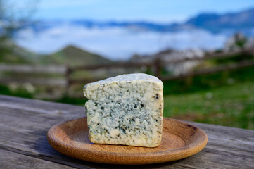 Cabrales artisan blue cheese made by rural dairy farmers in Asturias, Spain from unpasteurized cow’s milk or blended with goat or sheep milk with Picos de Europa mountains on background.
