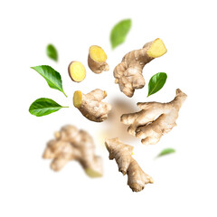 Cut out ginger. Creative food concept. Flying fresh ginger root, green leaves isolated on white background. With clipping path. Natural organic ginger for health, medicine, Spice for cooking