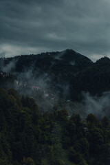 Beautiful view of mountains in the fog - scenic view of Shimla hills on a rainy day - Shimla hill station