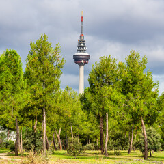 Fototapeta premium Communications tower of the capital of Spain in Madrid that stands out among the pine forest.
