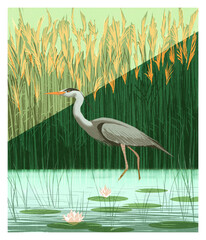 Heron