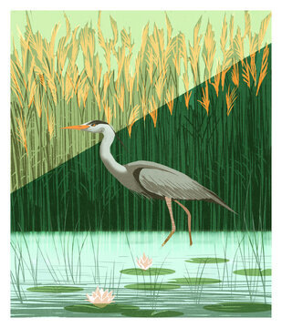 Heron