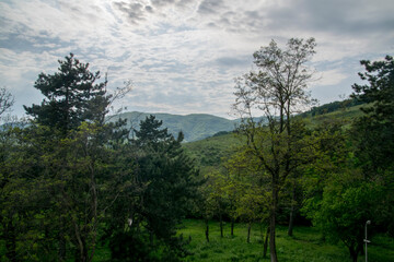 Obraz premium clouds over the forest