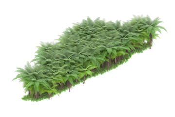 Tropical island on transparent background. 3d rendering - illustration