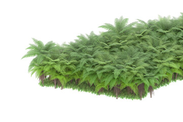 Tropical island on transparent background. 3d rendering - illustration