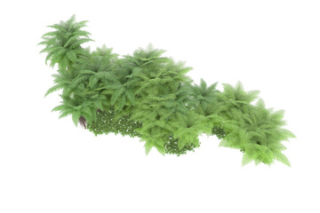 Tropical island on transparent background. 3d rendering - illustration