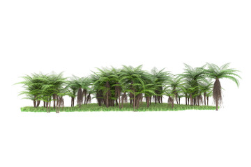 Tropical island on transparent background. 3d rendering - illustration