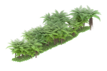 Tropical island on transparent background. 3d rendering - illustration