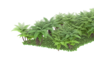 Fototapeta premium Tropical island on transparent background. 3d rendering - illustration