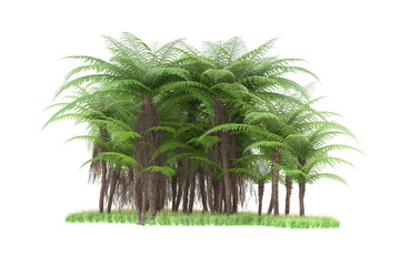 Tropical island on transparent background. 3d rendering - illustration