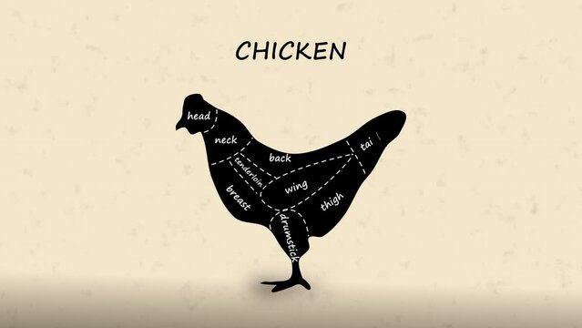 Butcher Diagram Sections of Chicken Cut Animation