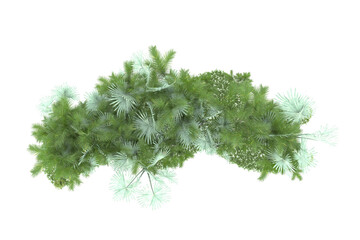 Tropical island on transparent background. 3d rendering - illustration