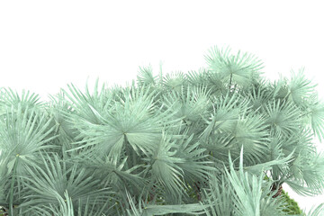 Tropical island on transparent background. 3d rendering - illustration