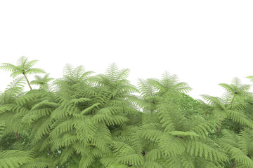 Tropical island on transparent background. 3d rendering - illustration