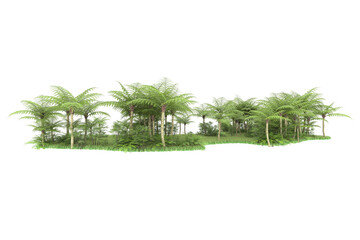 Tropical island on transparent background. 3d rendering - illustration