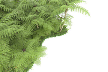 Tropical island on transparent background. 3d rendering - illustration