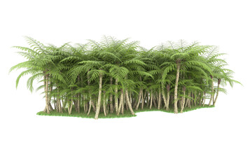 Tropical island on transparent background. 3d rendering - illustration