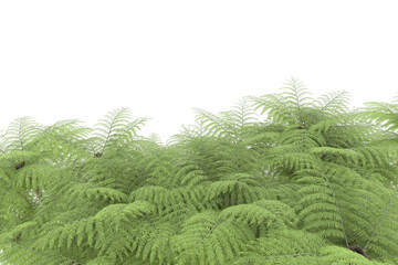 Tropical island on transparent background. 3d rendering - illustration