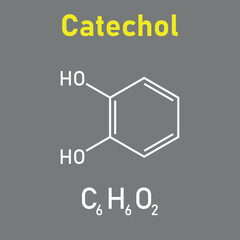 Chemical structure of Catechol (C6H6O2). Chemical resources for teachers and students. Vector illustration isolated on white background.