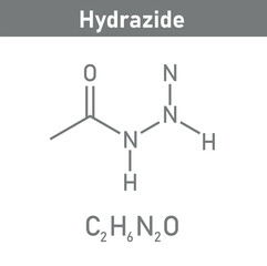 Chemical structure of Hydrazide (C2H6N2O). Chemical resources for teachers and students. Vector illustration isolated on white background.