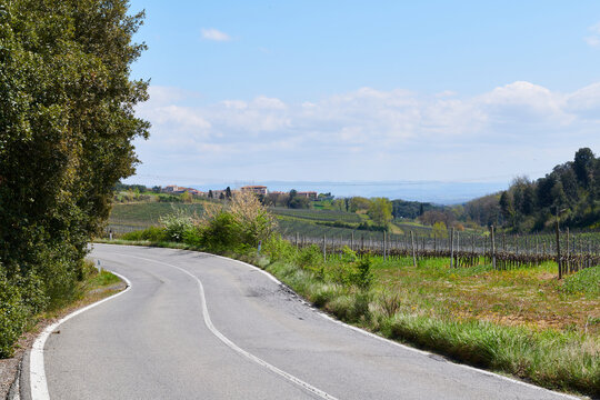 Diminishing Perspective Of Empty Road By Lush Vineyard Against Cloudy Sky In Summer