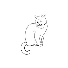 Vector sketch hand drawn sitting cat silhouette, line art