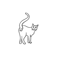 Vector sketch hand drawn cat silhouette with raised tail, line art