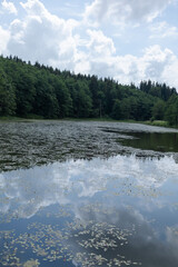 Fototapeta premium Landscape, view of the lake and the shore, green trees and water surface