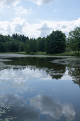 Landscape, view of the lake and the shore, green trees and water surface