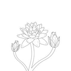 Fototapeta premium illustration of a flower