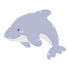  dolphin