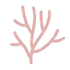 Obraz premium coral 