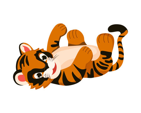 A baby tiger lying on its back. Funny animal. Vector drawing of a wild mammal. Little playful tiger cub on white background. Used for web design