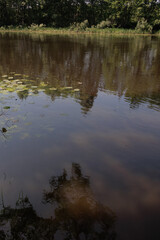 Fototapeta premium Landscape, view of the lake and the shore, green trees and water surface