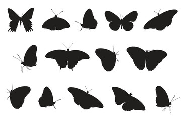 Full set of butterflies silhouettes vector illustration