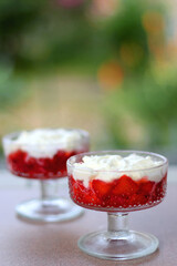 Two bowls of strawberries and whipped cream, served in a garden. Selective focus.