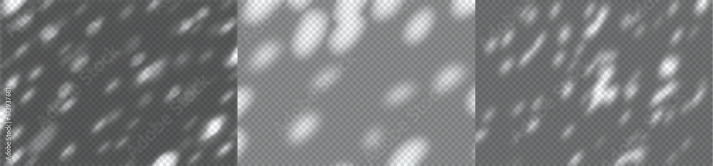 Poster vector background with realistic shadow of plant on the wall with sun light reflection. transparent 