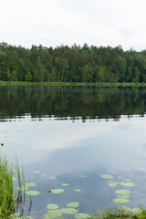 Landscape, view of the lake, river and the shore. Background for design