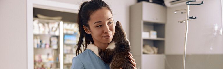 Asian veterinarian intern in blue uniform hugs tabby cat at table in clinic