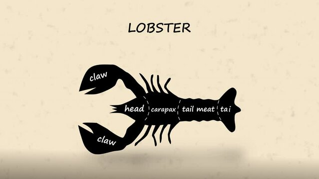 Butcher Diagram Sections of Lobster Cut Animation