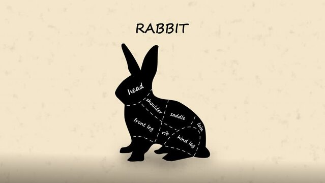 Butcher Diagram Sections of Rabbit Cut Animation